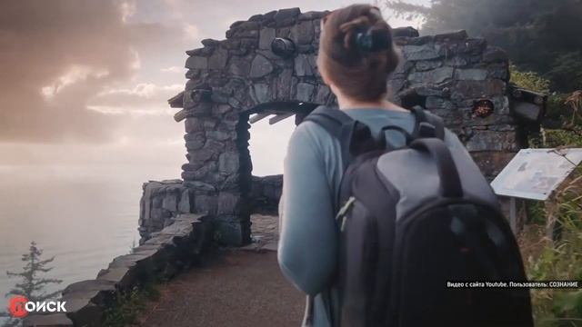 Как победить зависимость от социальных сетей смотреть онлайн