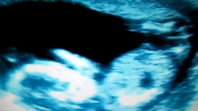 Nikki Baby Movie_0001.wmv