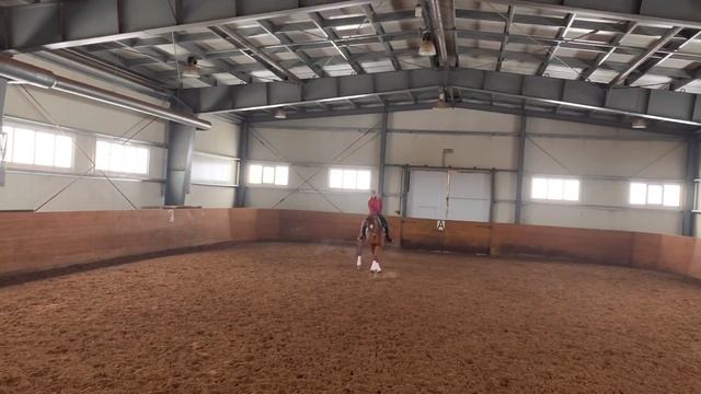 РАБОТА НАД СОБРАННЫМ ГАЛОПОМ смотреть онлайн