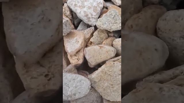 Галька Риф смотреть онлайн