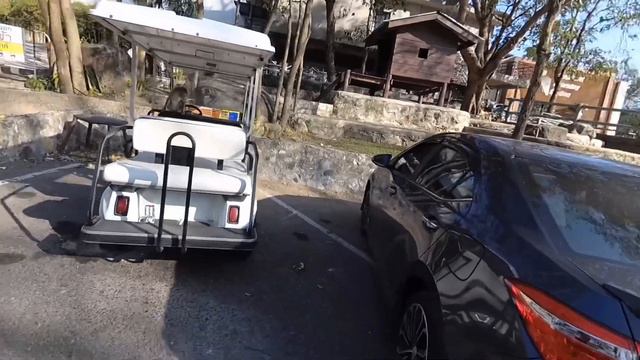 ШОК! Дикие обезьяны напали на туристов в Тайланде и пытаются угнать их машину смотреть онлайн