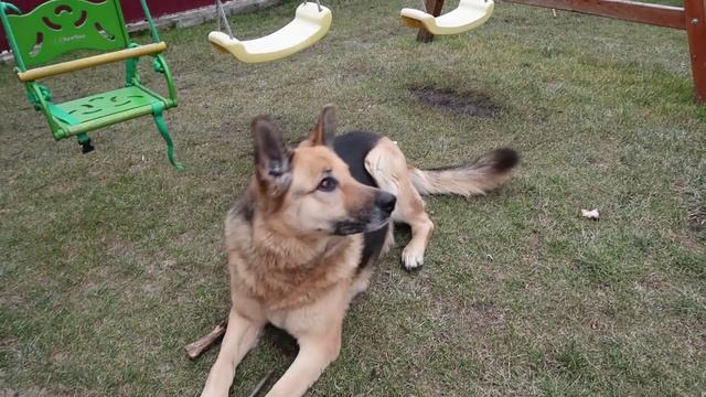 VLOG Переживаю за маму смотреть онлайн