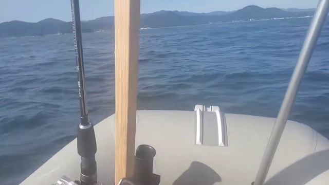 SUZUKI DT5 502S キャブ調整後の試験走行 смотреть онлайн