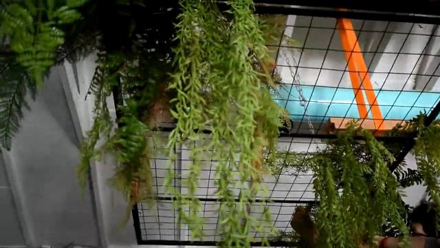 Декорирование бара СКВОТ на Кировке смотреть онлайн