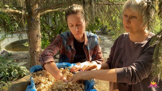 Вернувшаяся посылка. 45 суток в пути! / Сад Ворошиловой смотреть онлайн