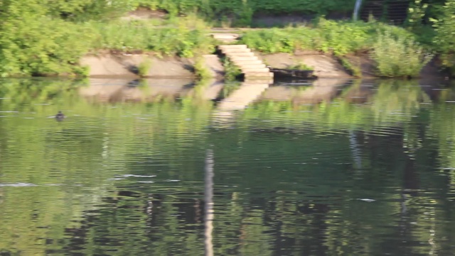 На водоёме.