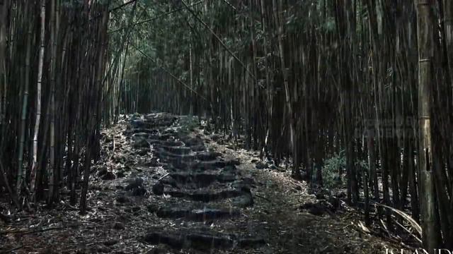 Rain Sounds for Sleeping - Sleep Instantly with Heavy Rain & Thunder Sounds смотреть онлайн