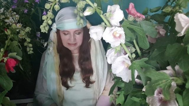 Мохнатый жужжащий шмель смотреть онлайн