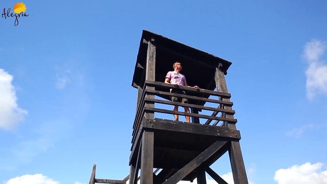 Отдых в Испании: Природный парк Лагуны Ла Маты и Торревьехи смотреть онлайн