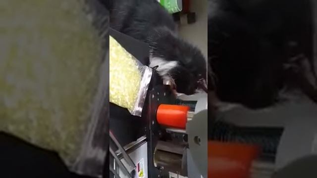 Ручной кромкооблицовочный станок JBT 102B (2 ролика нанесения клея) СтанкоChel смотреть онлайн