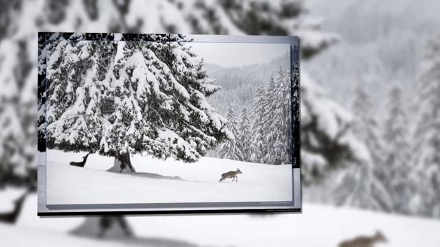 Trentino - Italia смотреть онлайн