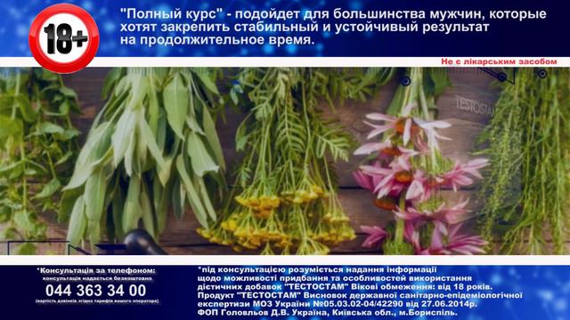 testostam смотреть онлайн