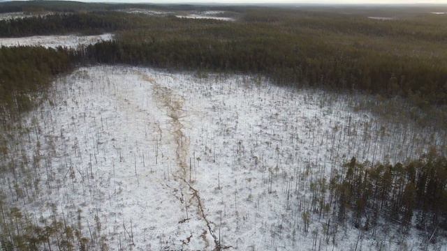 ЧТО Я УВИДЕЛ В ЛЕСУ. ПОЛЁТ НАД ПРЕКРАСНЫМ ЛЕСОМ. ПРЕКРАСНЫЕ ВИДЫ С ВЫСОТЫ ПТИЧЬЕГО ПОЛЁТА смотреть онлайн