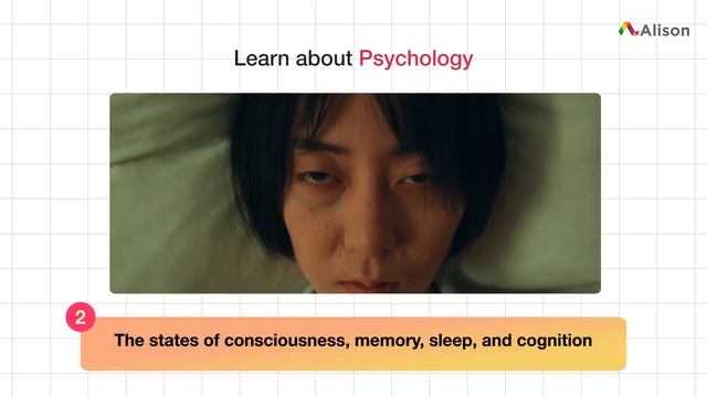 Diploma in Psychology - Free Online Course with Certificate смотреть онлайн