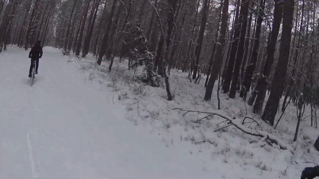 Велопрогулка 6 января по рождественскому лесу. Запись на sony as200v смотреть онлайн