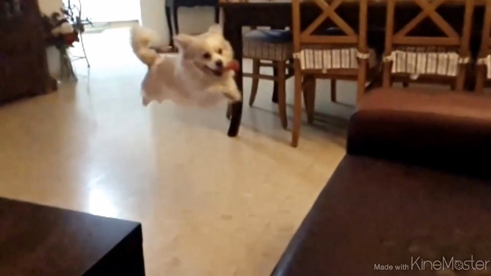 Переоценил возможности смотреть онлайн