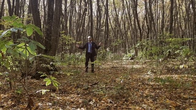 Стих 3 (Стихи и Поэзия) Мои строчки рубаи смотреть онлайн