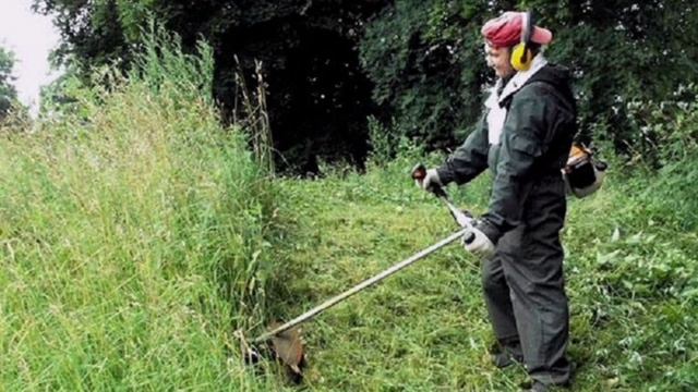 амброзия смотреть онлайн