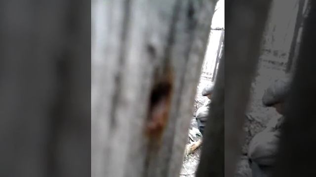 Не хотите срать во двор или паподешь в ютуб смотреть онлайн