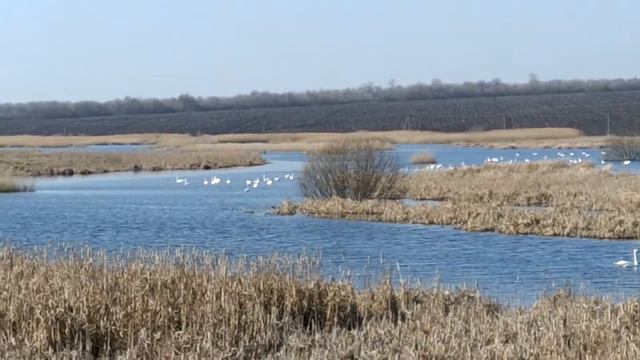 Весна пришла смотреть онлайн