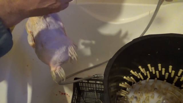 Тестируем перосъемную машину ПМ-6М смотреть онлайн