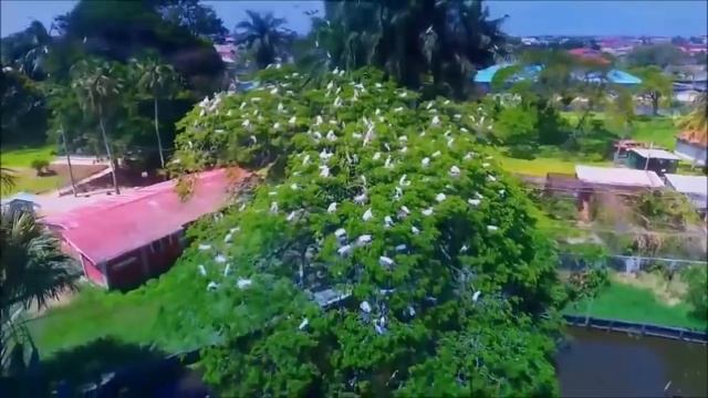 Вселенная посылает нужного человека, когда мы меньше всего ожидаем смотреть онлайн