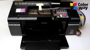 Обнуление чипов СНПЧ Epson