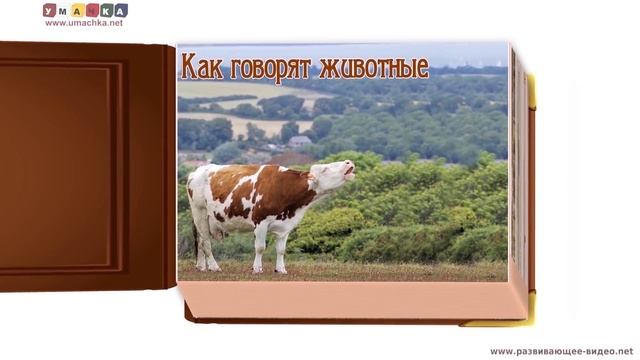 Видео с животными для ребёнка от года. Все обучающие карточки смотреть онлайн