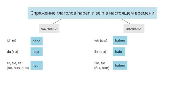 Спряжение глаголов haben и sein в настоящем времени в немецком языке смотреть онлайн