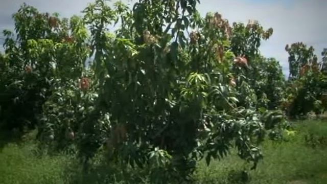 Salta Agropecuaria 397. Bloque 3 смотреть онлайн