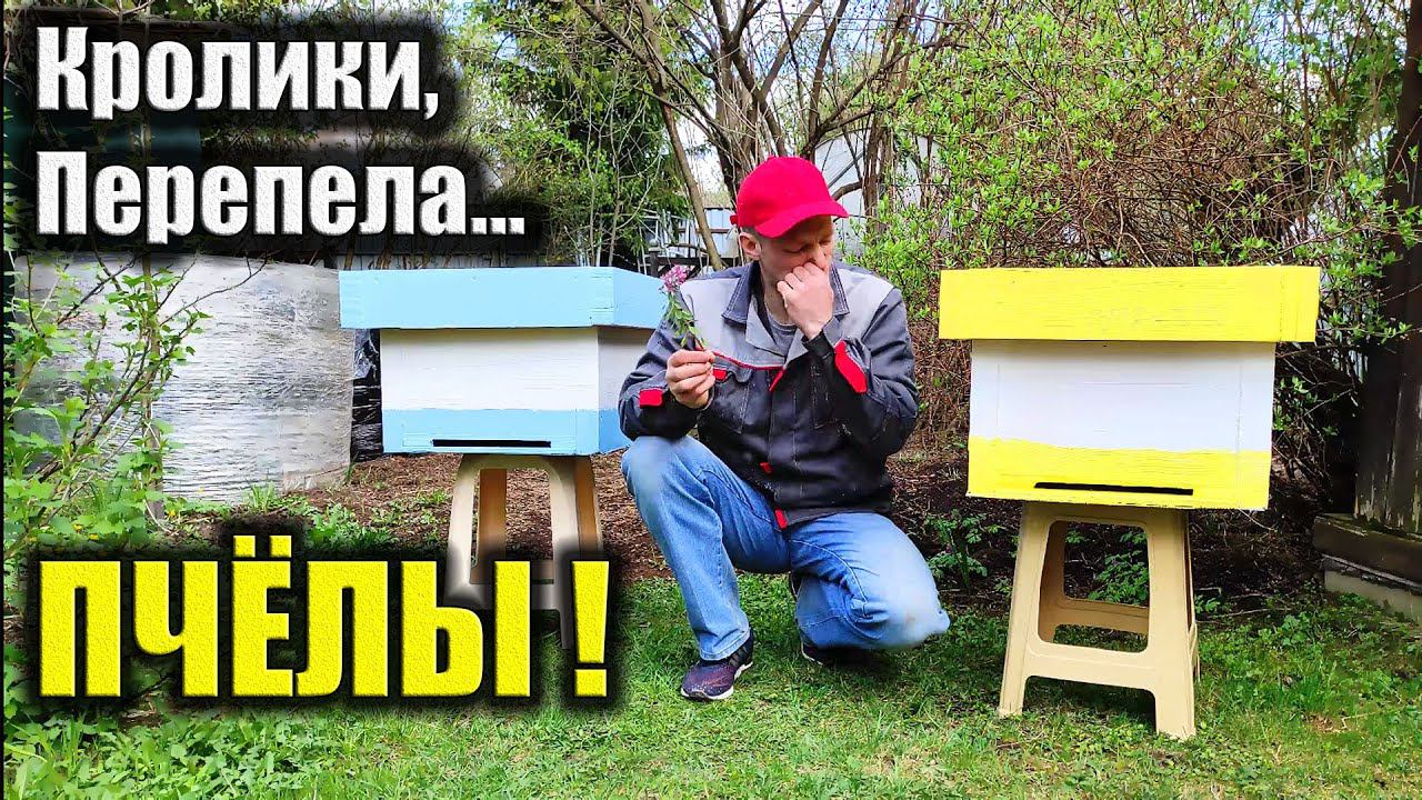 Пчёлы. Ульи из ПЕНОПЛЭКСА. С чего начать пчеловодство смотреть онлайн