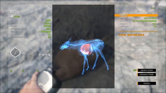 TheHunter Call of the Wild На ОХОТУ ОХОТА В ТАЙГЕ # 7 смотреть онлайн