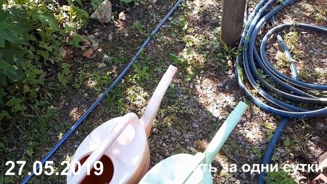 27.05.2019 ПОДКОРМКА ОРГАНИЧЕСКАЯ (НАТУРАЛЬНАЯ)- "ОРГАВИТ"(ГРАНУЛИРОВАННЫЙ КОРОВИЙ НАВОЗ). смотреть онлайн