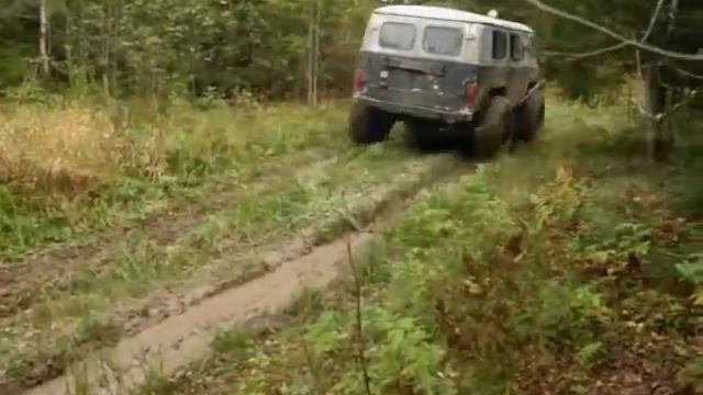 когда трофи рейд каждый день или вепский лес всегда смотреть онлайн