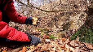 Поиск окаменелостей, Аммониты, Септарии, белемниты, горы Кавказа.