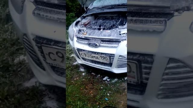 Мойка двигателя Ford Focus смотреть онлайн