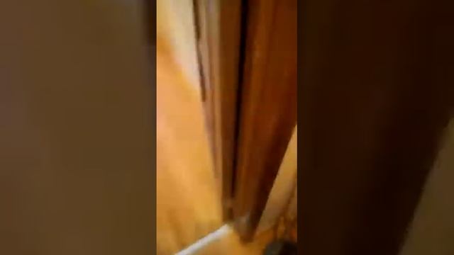 Восстановление паркета смотреть онлайн