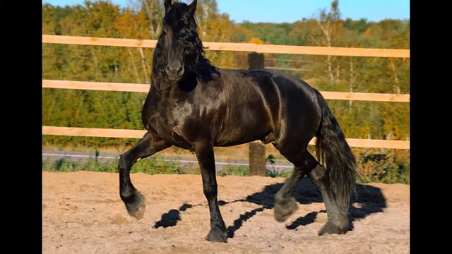 ╰დ╮·˙˙·Самое прекрасное на свете·˙˙·╭დ╯ смотреть онлайн