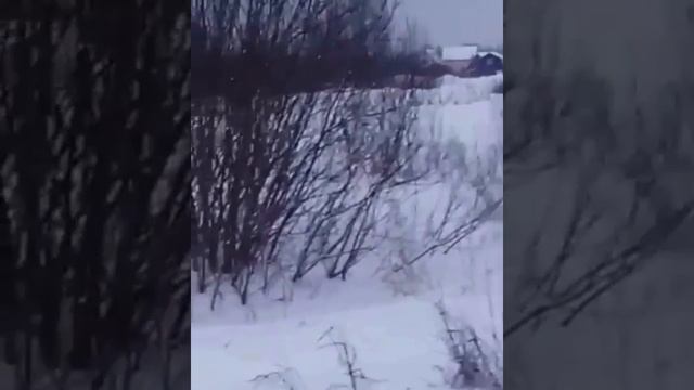 Мото-снегоход смотреть онлайн