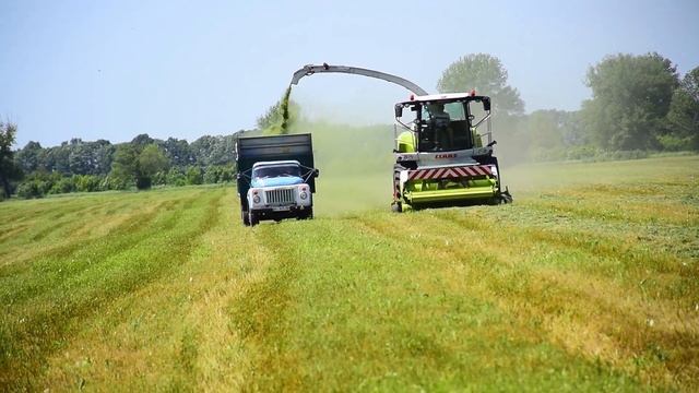 CLAAS JAGUAR 950 - Уборка кукурузы на силос и заготовка сенажа в Украине - Комбайн Клаас Ягуар смотреть онлайн