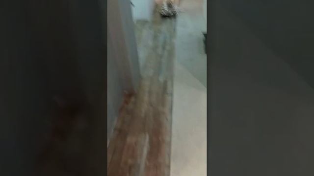 "АчпаЧ и Ко" Укладка КварцВиниловых ПВХ Покрытий. смотреть онлайн