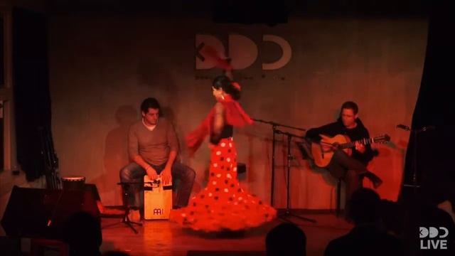 2015 12 09 珍舞门 ZHEN ZHAO Flamenco Show @DDC Dusk Dawn Club смотреть онлайн