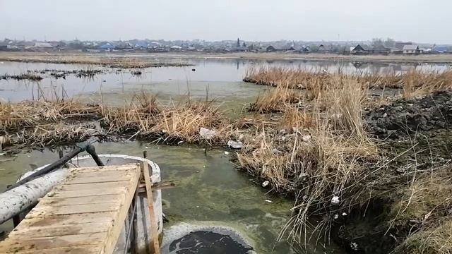 Откачка грунтовых вод из района «Цыганского болота» возобновлена смотреть онлайн