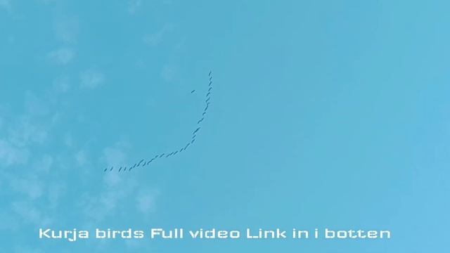 Sara Din kya Kiya Aaj || Chetan Jangu Vlogs || January 4, 2022 смотреть онлайн