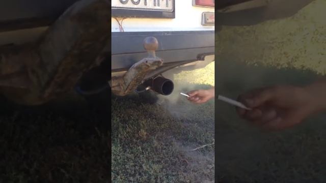 Язык дракона на класике смотреть онлайн