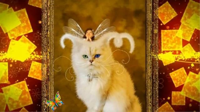 MAGIC DUDUk.РАССКАЖИ  МНЕ СКАЗКУ, АНГЕЛ.