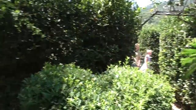 Никитский ботанический сад в Ялте 23 часть путешествия из Братска в Крым / Nikitsky Botanical garde смотреть онлайн