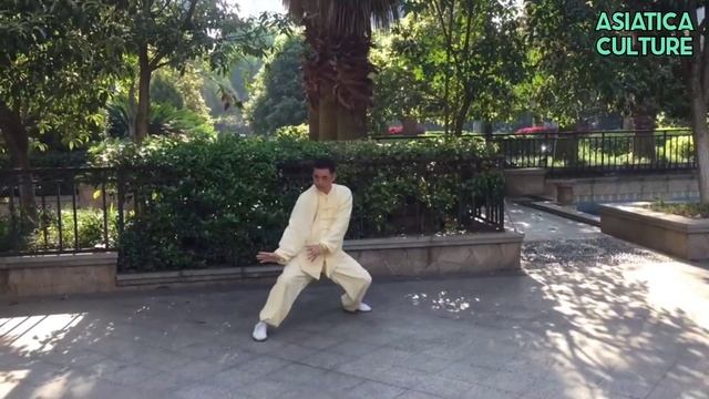 Tai Chi 42 Form With Guzheng Music: Competition Training, Tai Chi Chuan, Taijiquan