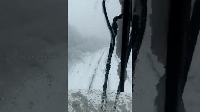 Снег в Тверской области. 19 апреля 2024 года. смотреть онлайн