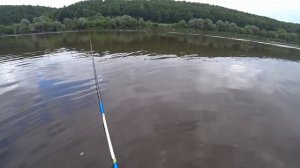 рыбалка на Оке на МАХовую удочку в проводку на пшеницу-кукурузу,не плохой клёв,бугайская плотва...